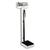 Stainless Steel Eye-Level Physician Scales w/o Height Rod, 1017444 [W46246S], Professional Scales (Small)