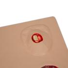 "Pat" Pressure Ulcer Staging Model&trade;, 3001171 [W46517], Decubitus Care (Small)