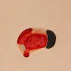 "Pat" Pressure Ulcer Staging Model&trade;, 3001171 [W46517], Decubitus Care (Small)