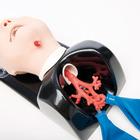 AirSim Child with Bronchial Tree Model Six years old, 3011443 [W47406B], Airway Management Child