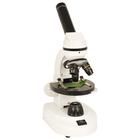 Professor Monocular Microscope, W49995, Monocular Compound Microscopes