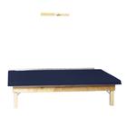 Wall Mounted Mat Platform 4x7x20H in IMPERIAL BLUE, W50812IB, Divanes (Small)