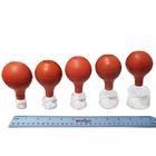 Glass Cupping Set with Rubber Bulbs, W53126GR, Cupping Units