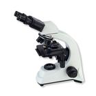 Binocular Compound Microscopes