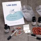 Seed Staining, W59185, Botany Experiments and Kits