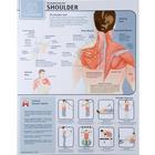 Strengthening the Shoulder Joint Chart - Unlaminated, W59507, Fitness