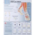 Strengthening the Foot and Ankle, W59510, Fitness