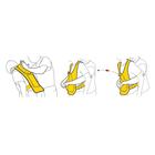 Act+Fast Rescue Choking Vest - Yellow, Children's Trainer, 1022651 [W59821], BLS&nbsp;Child (Small)