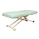 Oakworks&reg; Proluxe Convertible Electric Lift, 3005945 [W60735C], Portable Massage Tables (Small)