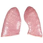 Torsos: Lungs, 2 pieces, 1020665 [XB007], 교체 부품
