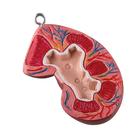 Torsos: Front kidney half, 1020675 [XB017], 교체 부품