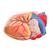 G15: Replacement Heart, 1017297 [XG15-001], Repuestos (Small)