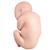 Reposição do feto para L20, 1020700 [XL001], Peças de reposição (Small)