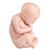 L20 için yedek fetus, 1020700 [XL001], Yedek Parça (Small)