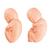 Fœtus de rechange pour modèle de fœtus jumeaux à 5 mois de grossesse, 1020702 [XL005], Pièces de rechange (Small)