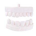 Spare dental partial prosthesis for P10 and P11, 1020705 [XP003], Replacements