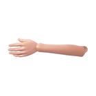 Spare forearm with hand, left, for P10 and P11, 1020711 [XP011], Replacements