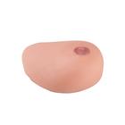 낭종이 있는 SONOtrain 초음파 유방모형(교체용 유방)&nbsp;&nbsp;SONOtrain Ultrasound Chest Model with Cysts &ndash; Spare Chest, 1019649 [XP124], 소모품 (Small)