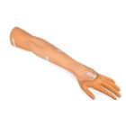 Сменная рука и кисть к руке для внутривенных инъекций, 1021422 [XP50/1-003], Дополнительная комплектация
