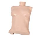 Torso skin light for P70 and P71, 1017747 [XP70-009], Replacements
