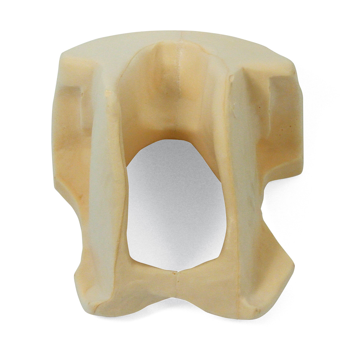 Foam Core for SIMone | 1009486 | XP812 | 교체 부품 | 3B Scientific