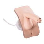 Male genital insert for P93 PRO/BASIC, 1020234 [XP93-001], Catheterization (Small)