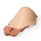 Vagina and Abdominal cover for PPH Trainer P97, 1021577 [XP97-004], Replacements