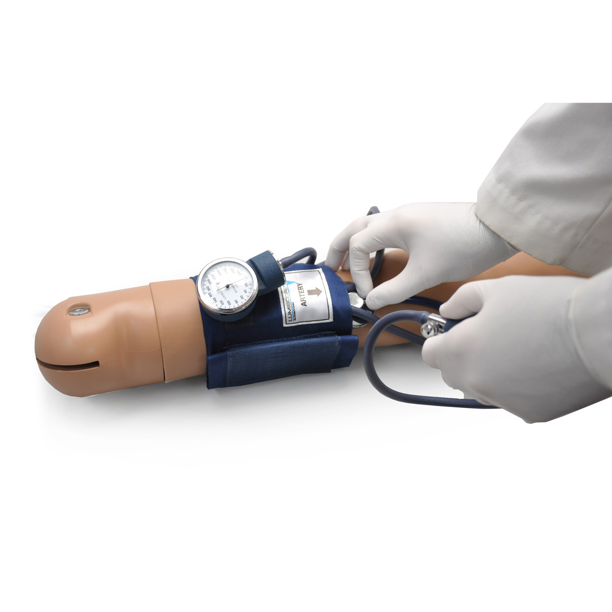 Advanced Blood Pressure Measurement Training Arm Simulator, Blood Pressure  Training Arm Simulator, Practice Arm Blood Pressure Measurement Model for